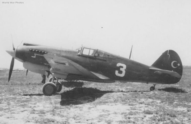 Türk P-40 Tomahawk: 17 NUMARA